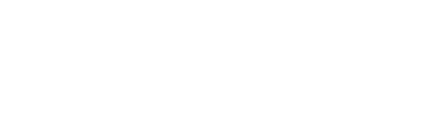 VALIDIUS.png